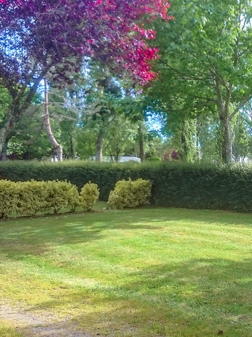 mieten stellplatz camping moelan sur mer (2)